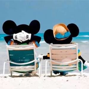 Meet your Posher, Mark pam